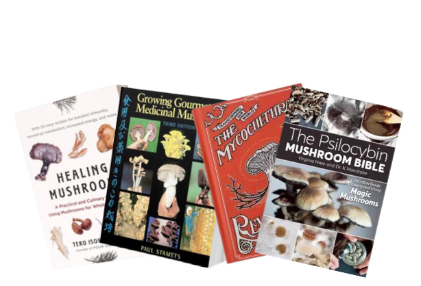 Books & Education