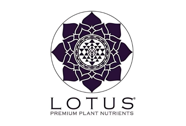 Lotus