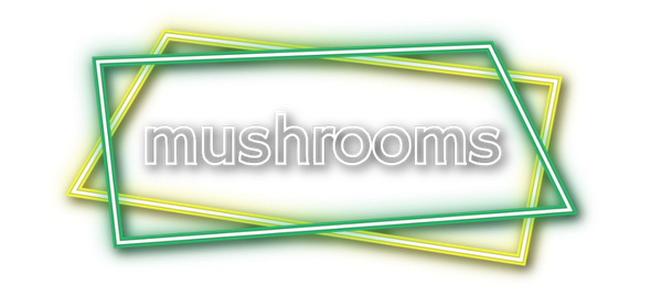 Mushroom Cultivation — GroHaus